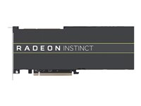 AMD Radeon Instinct MI50 (32GB) - Carte graphique - Radeon Vega 20 - 32 Go HBM2 - PCIe 3.0 x16 / PCIe 4.0 x16 - san ventilateur