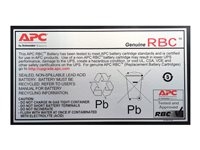 UPS - Batterij - APCRBC110