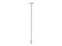AXIS T91B53 Telescopic Ceiling Mount - Camera mounting bracket - ceiling mountable - for AXIS M3067, M3068, M3085, M3086, M4328, M5075, T91A04, T91A06, T94B02, T94F01, T94K01