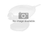 AXIS Q63 Series Q6318-LE 50 Hz - Network surveillance camera - PTZ - outdoor - vandal / weatherproof - colour (Day&Night) - 3840 x 2160 - 4K - auto iris - motorized - GbE - H.264B, H.264M, H.264H, H.265, MJPEG - High PoE Class 6