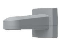 AXIS T91G61 - Bevestigingsbeugel voor camera - met RJ-45-kabel - monteerbaar aan muur - grijs - voor AXIS Q6215-LE 50Hz, Q6215-LE 60Hz