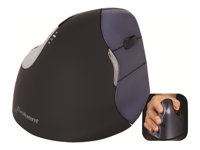 Clavier et souris - Souris - BNEEVR4W