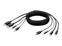 Belkin Secure KVM Combo Cable - Video/USB/audiokabel - TAA Compliant - USB, ministekker, Mini DisplayPort (M) naar USB type B, ministekker, DisplayPort (M) - 3.05 m - passief, 4K ondersteuning - zwart