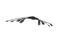 Belkin Secure KVM Combo Cable - Video/USB/audiokabel - TAA Compliant - USB, ministekker, HDMI, DisplayPort (M) naar USB type B, ministekker, HDMI, DisplayPort (M) - 30.5 cm - passief, 4K ondersteuning - zwart