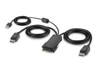 Belkin Secure Modular DP Dual Head Host Cable - Video/USB kabel - TAA Compliant - USB, DisplayPort (M) - 1.83 m - 4K ondersteuning, actief