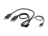 Belkin - Câble vidéo / USB - Conformité TAA - USB, DisplayPort (M) - 30.5 cm - support pour 4K30Hz