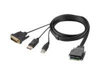 Belkin Secure Modular DVI and DP Dual Head Host Cable - Video/USB kabel - TAA Compliant - USB, DVI, DisplayPort (M) - 1.83 m - 4K ondersteuning, actief