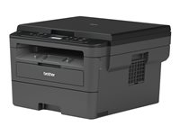 - - DCPL2510DRF1