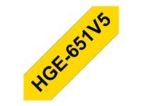 - - HGE651V5