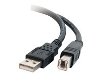 Accessoires et Cables - Câble USB - 81568