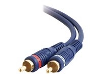 Accessoires et Cables - Câbles vidéo/audio - 80211