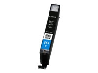 Verbruiksgoederen en accessoires - Inktcartridge - 6509B001