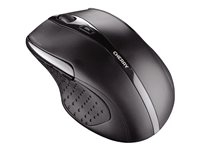 CHERRY DW 5100 - Toetsenbord en muis set - draadloos - 2.4 GHz - Tsjechisch/Slovaaks - toetsschakelaar: CHERRY LPK - zwart