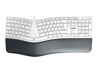 CHERRY KC 4500 ERGO - Clavier - USB - Allemand - gris - emballage sans plastique