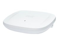 Wireless Network -  - CW9166I-MR