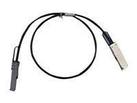 Accessoires et Cables - Fibre optique - QSFP-H40G-CU5M=