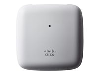 Wireless Network -  - CBW140AC-E