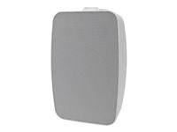 Saros 6.5 in. 2-Way All Weather Surface