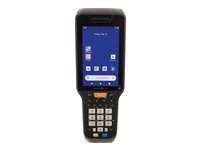 Datalogic Skorpio X5 - Terminal voor gegevensverzameling - robuust - Android 10 - 64 GB - 4.3" kleur TFT (800 x 480) - rear camera - streepjescodelezer - (2D-imager) - USB host - microSD sleuf - Wi-Fi 5, Bluetooth, NFC