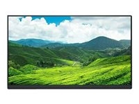 Dell P2222H - Pas de support - écran LED - 22" (21.5" visualisable) - 1920 x 1080 Full HD (1080p) @ 60 Hz - IPS - 250 cd/m² - 1000:1 - 5 ms - HDMI, VGA, DisplayPort - avec 3 ans de service Advanced Exchange
