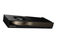 DELL NVIDIA RTX PRO 4500 BKwell WS Ed