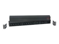 APC Basic Rack-Mount PDU - Unité de distribution d'alimentation (rack-montable) - CA 208/230 V - entrée : IEC 60320 C20 - connecteurs de sortie : 12 - 1U - noir