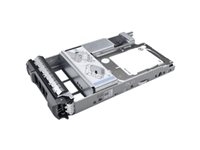 Hard Drives & Stocker - Internal HDD - 400-AJPH