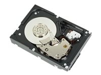 Hard Drives & Stocker -  - 400-AUPW