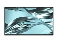Dell Pro P 24 P2426H 100Hz Monitor