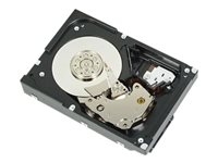 Hard Drives & Stocker -  - 400-BLNW