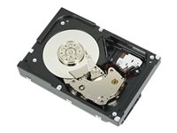 Hard Drives & Stocker -  - 400-BGED