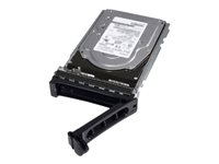Hard Drives & Stocker -  - 400-BLLE