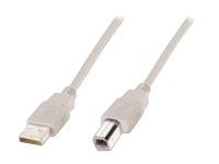 ASSMANN - Câble USB - USB (M) pour USB type B (M) - USB 2.0 - 1.8 m - moulé - beige