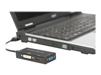 ASSMANN - Adaptateur vidéo - DisplayPort mâle pour 15 pin D-Sub (DB-15), HDMI, DVI-D femelle - 20 cm - triple blindage - noir - moulé, support 4K