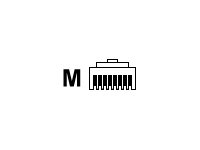 ASSMANN - Connecteur de réseau - RJ-45 (M) - non blindé - CAT 6 - transparent