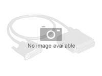 ASSMANN - Câble SATA - Serial ATA 150/300/600 - SATA pour SATA - 50 cm - connecteur à angle gauche, plat - rouge