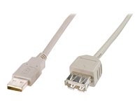 ASSMANN - Rallonge de câble USB - USB (M) pour USB (F) - USB 2.0 - 1.8 m - moulé - beige