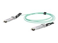 DIGITUS - Câble d'attache directe 100GBase - QSFP28 pour QSFP28 - 10 m - fibre optique - duplex - SFF-8431/SFF-8432 - Active Optical Cable (AOC)
