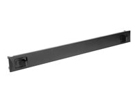 DIGITUS Professional - Rack blanking panel - black - 1U - 19"