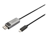 DIGITUS - Câble adaptateur - DisplayPort (M) pour 24 pin USB-C (M) - DisplayPort 1.4 - 1 m - bloqué, bi-directionnel, support 8K30Hz (7680 x 4320), support 2K165Hz (2560 x 1440), support pour 4K144Hz - noir