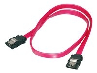 ASSMANN - Câble SATA - Serial ATA 150/300/600 - SATA pour SATA - 30 cm - verrouillé, moulé, plat - rouge