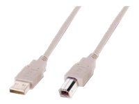 ASSMANN - Câble USB - USB (M) pour USB type B (M) - USB 2.0 - 1.8 m - moulé - beige