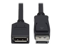 DisplayPort Extension Cable with Latch