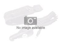 Elo - Stylet - pour Elo 3203L, 4303L, 5503L, 5553L, 6553L; Interactive Digital Signage Display 6553L