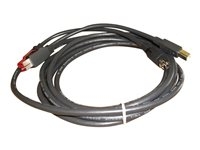Epson - PoweredUSB cable - USB PlusPower (24 V) (M) to USB Type B, Power mini-DIN (M) - 3 m - black