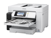 Printers en fax - Multifunctionele Z/W - C11CJ41405