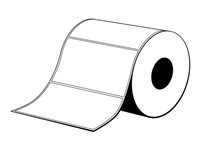 Epson Premium - Polypropylene (PP) - matte - permanent acrylic adhesive - 102 x 51 mm 9630 label(s) (18 roll(s) x 535 box - die cut labels