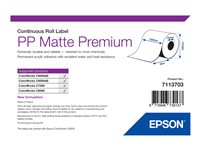 Epson Premium - Polypropylene (PP) - matte - permanent acrylic adhesive - Roll (10.5 cm x 55 m) 1 roll(s) continuous labels - for ColorWorks C7500, C7500G, C8000e (BK), C8000e (MK), CW-C6000Ae, CW-C6500Ae