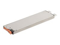 Getac - SSD - 512 Go - échangeable à chaud - PCIe (NVMe) - avec canister - pour Getac K120 G3