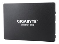  -  - GP-GSTFS31100TNTD
